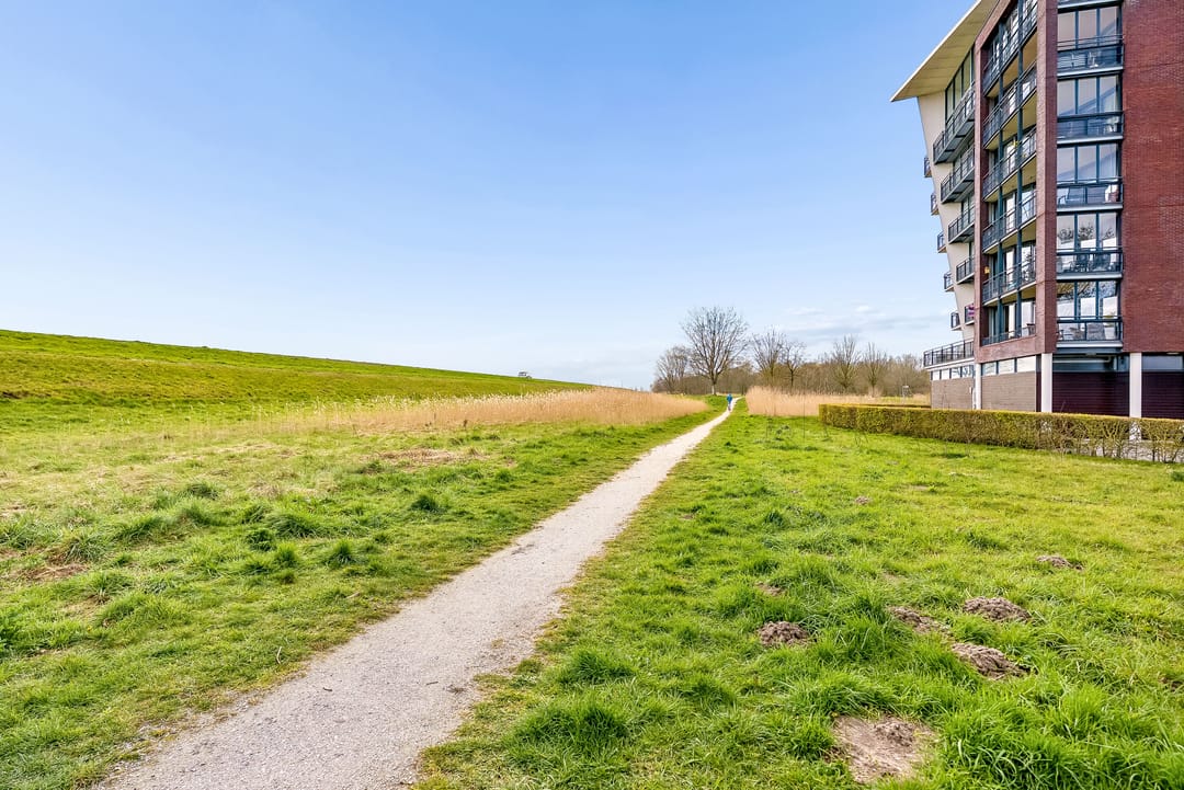 Foto 61 van Magneetveld 66