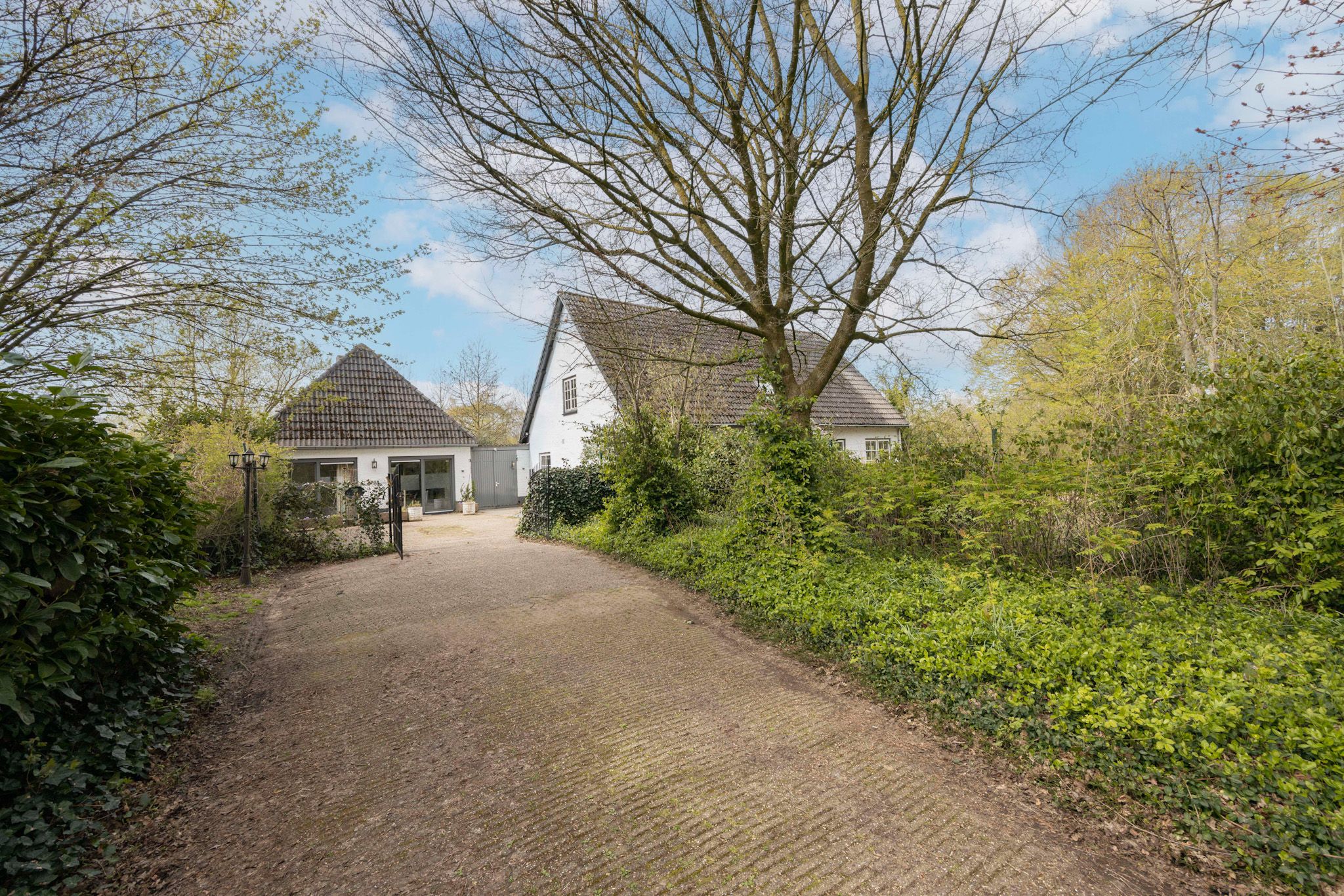 Foto 63 van Hamsestraat 24