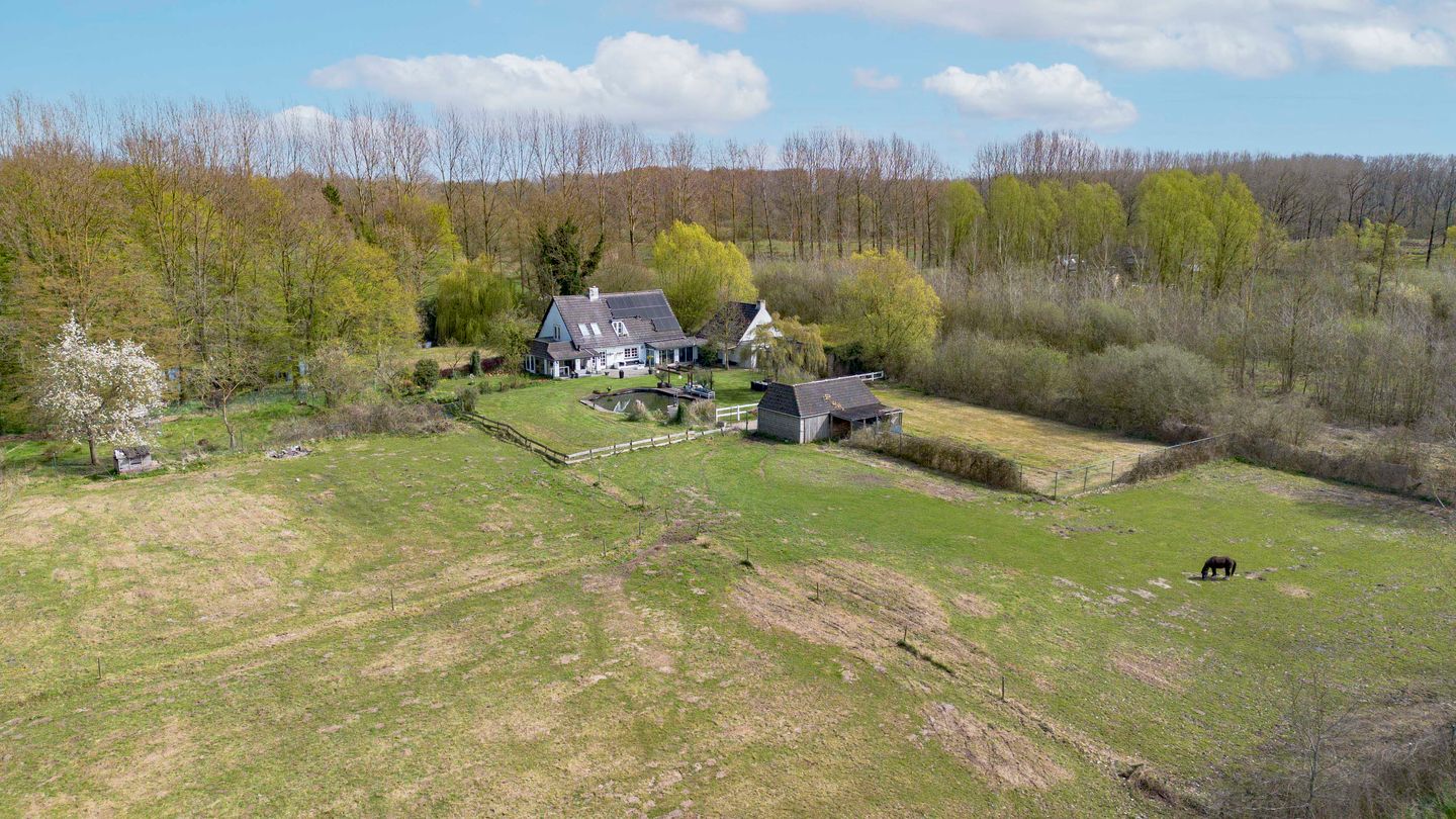 Foto 4 van Hamsestraat 24