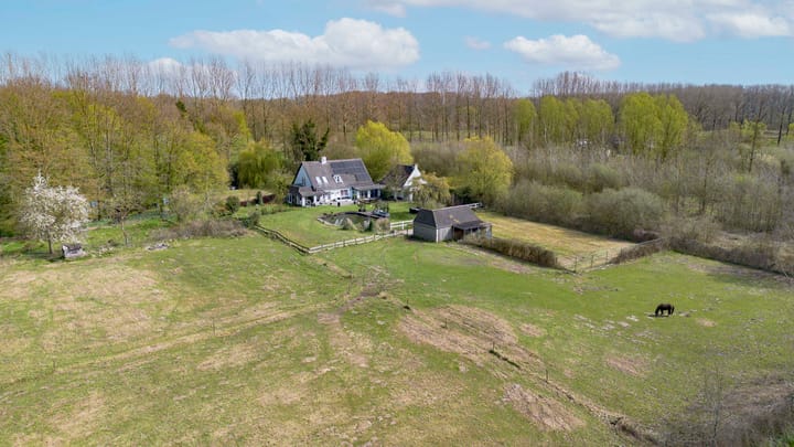 Foto 4 van Hamsestraat 24