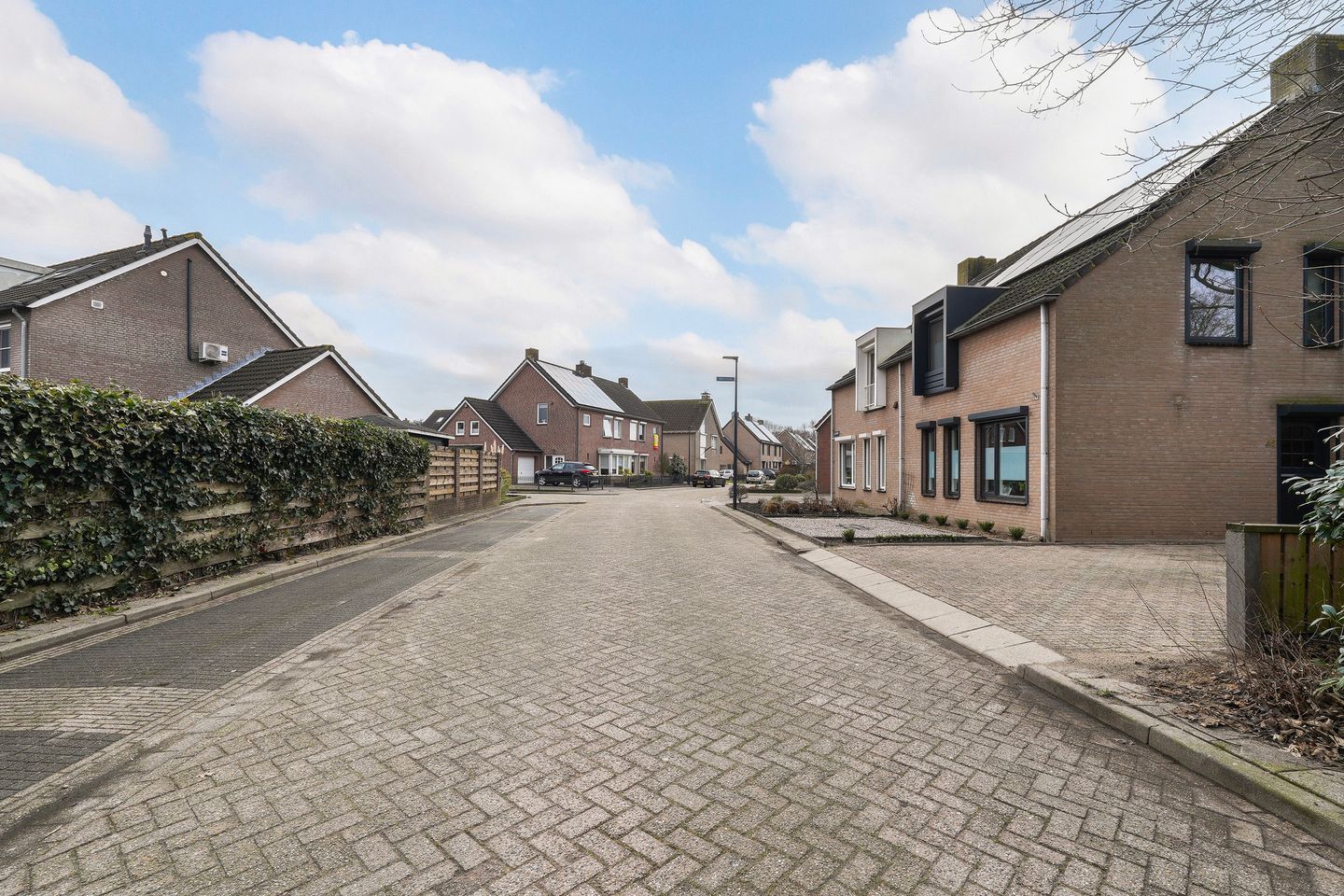 Photo 35 of Leeuwerik 55