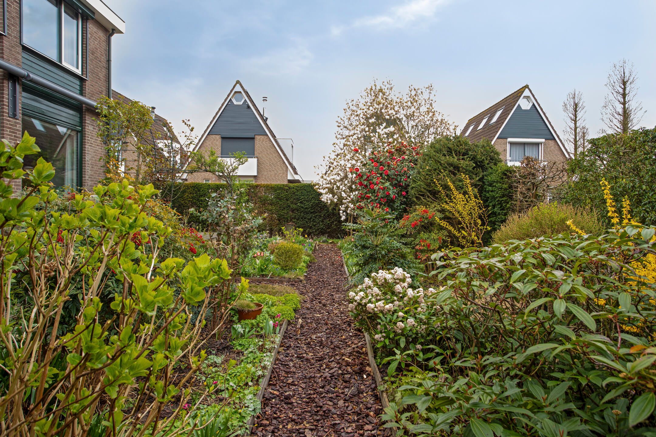 Foto 48 van Spitsbergen 28