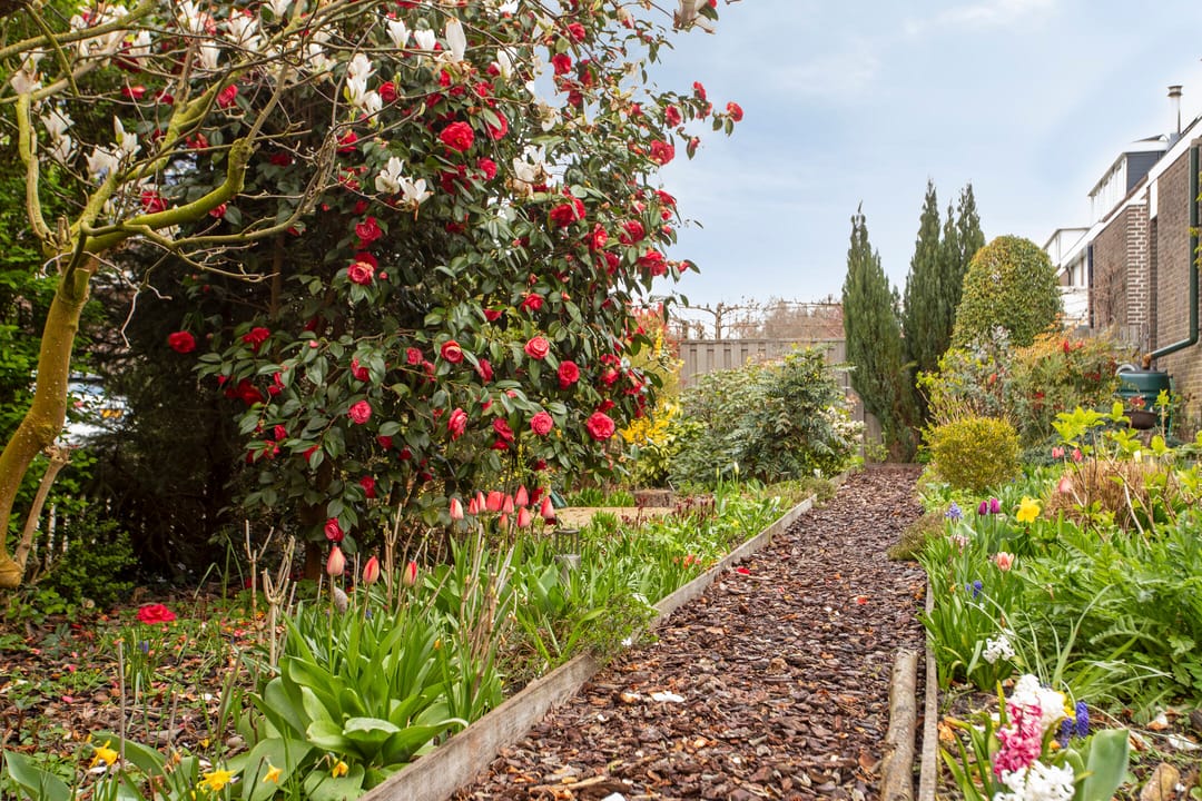 Foto 47 van Spitsbergen 28