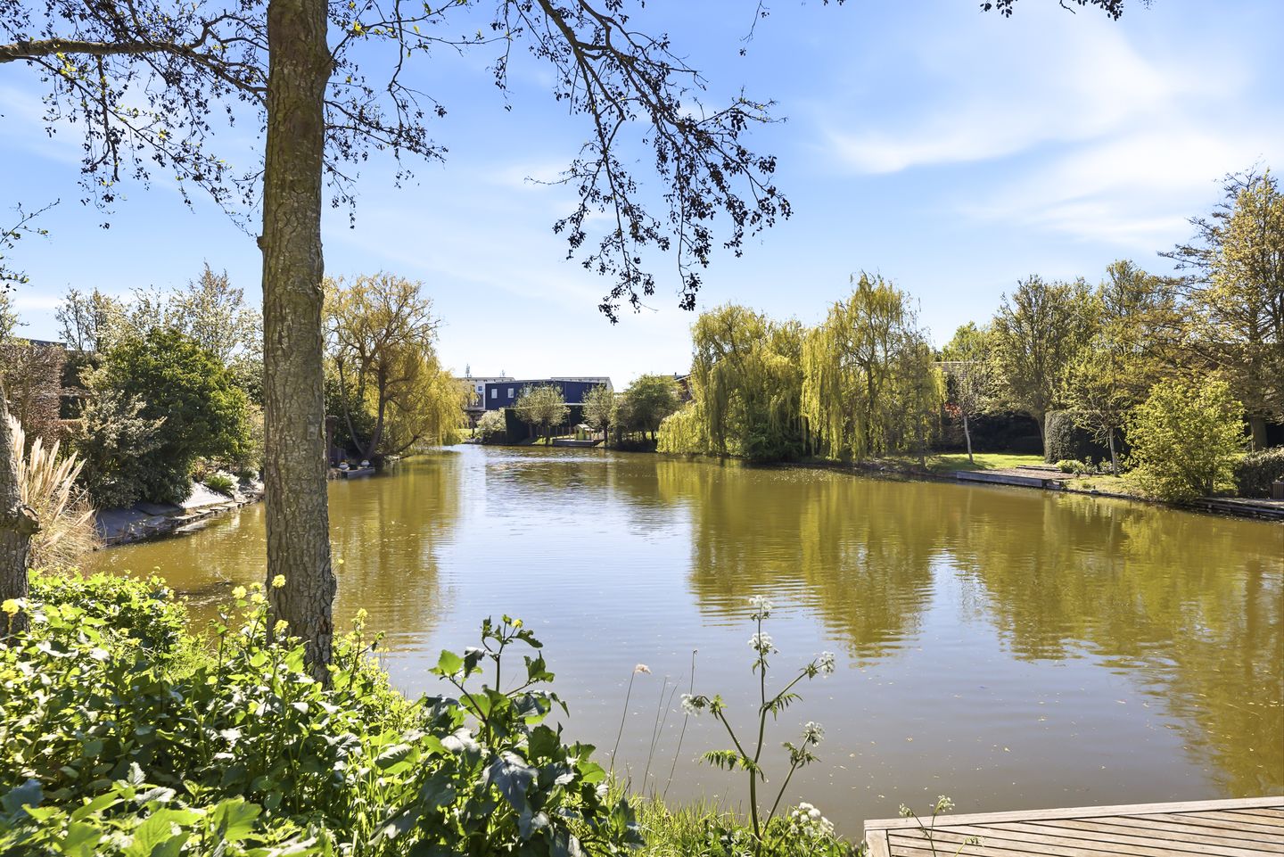 Foto 10 van Haagland 30