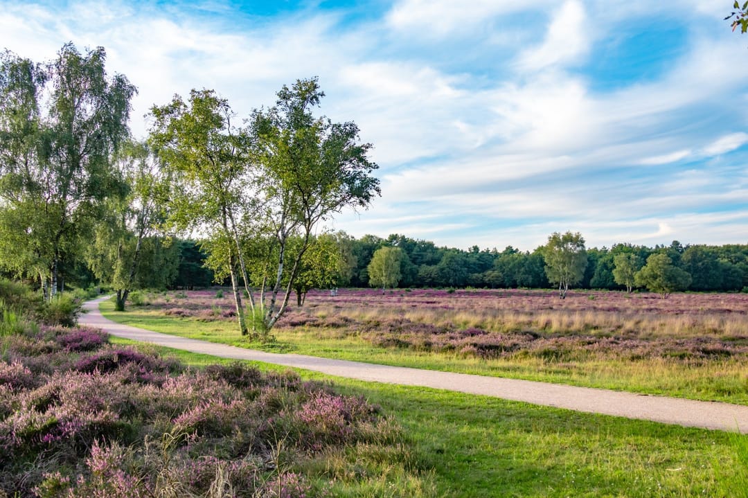 Photo 46 of Radiostraat 65