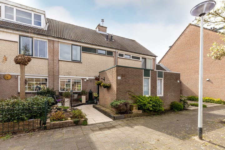 Van Riedevliet 56