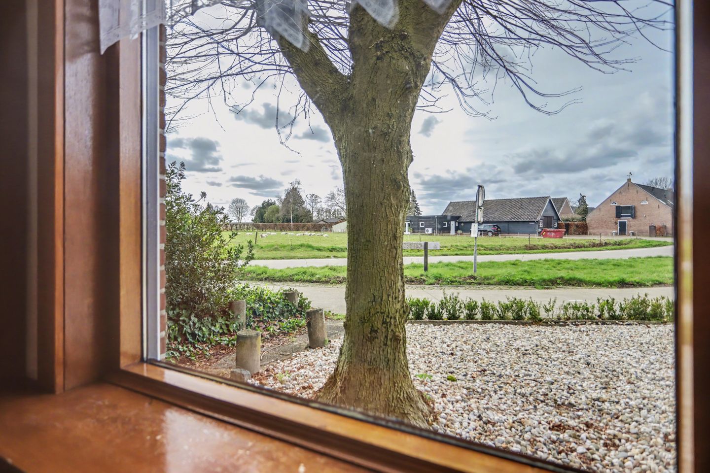 Foto 10 van Molenschotsedijk 4