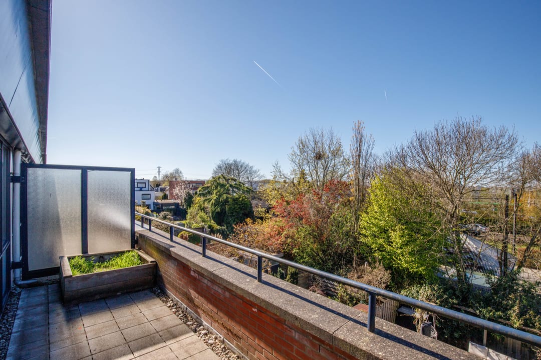 Foto 38 van Poolsezoom 38