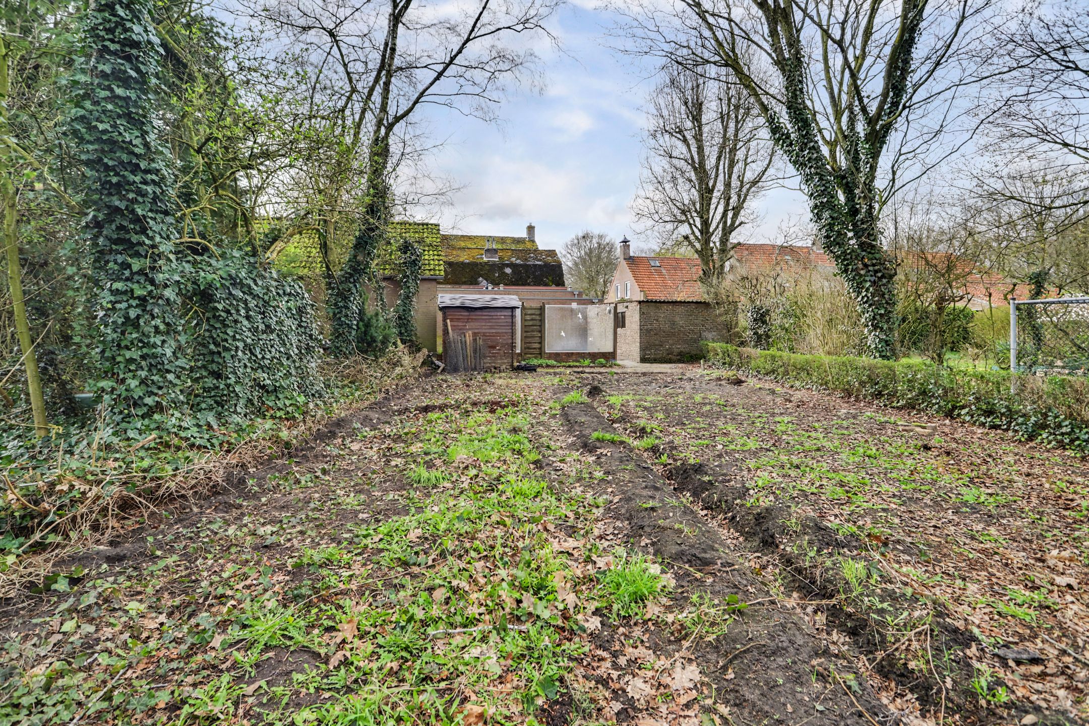 Foto 33 van Molenschotsedijk 4