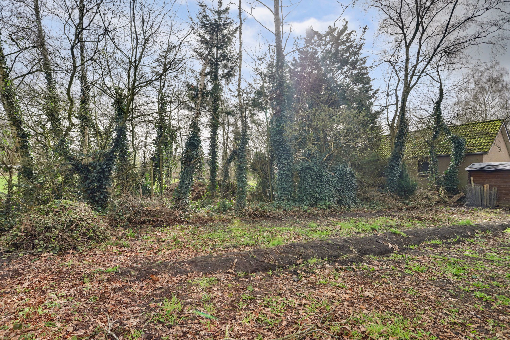 Foto 36 van Molenschotsedijk 4