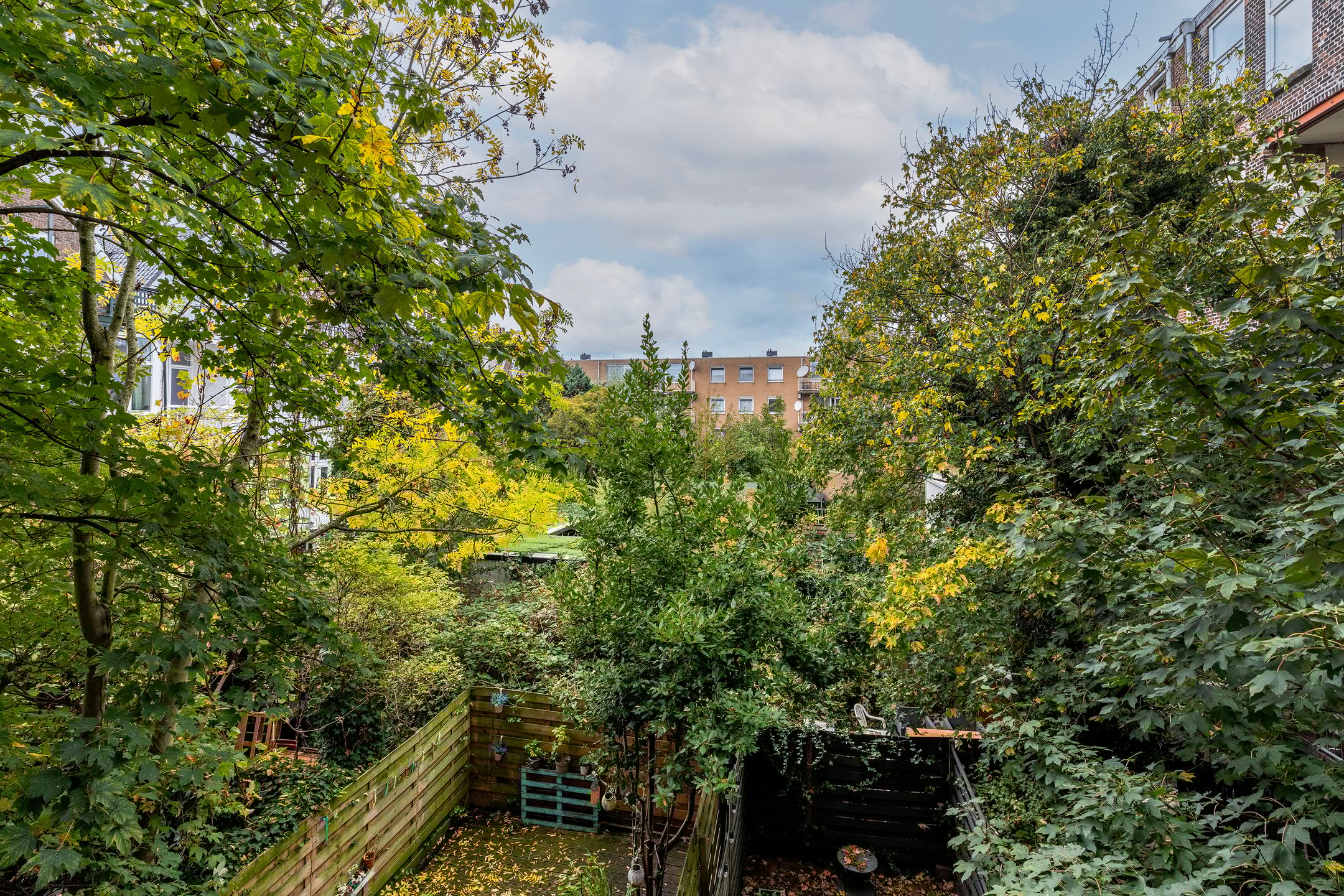 Foto 12 van Bergweg 205-B