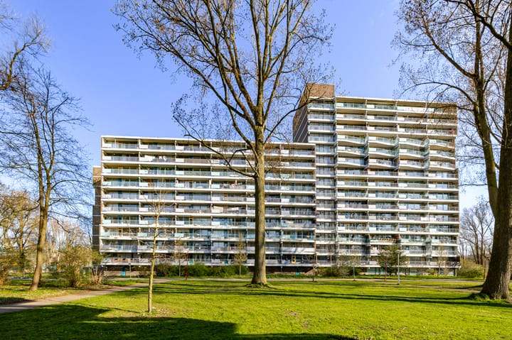 Photo 2 of Belvédèrebos 81