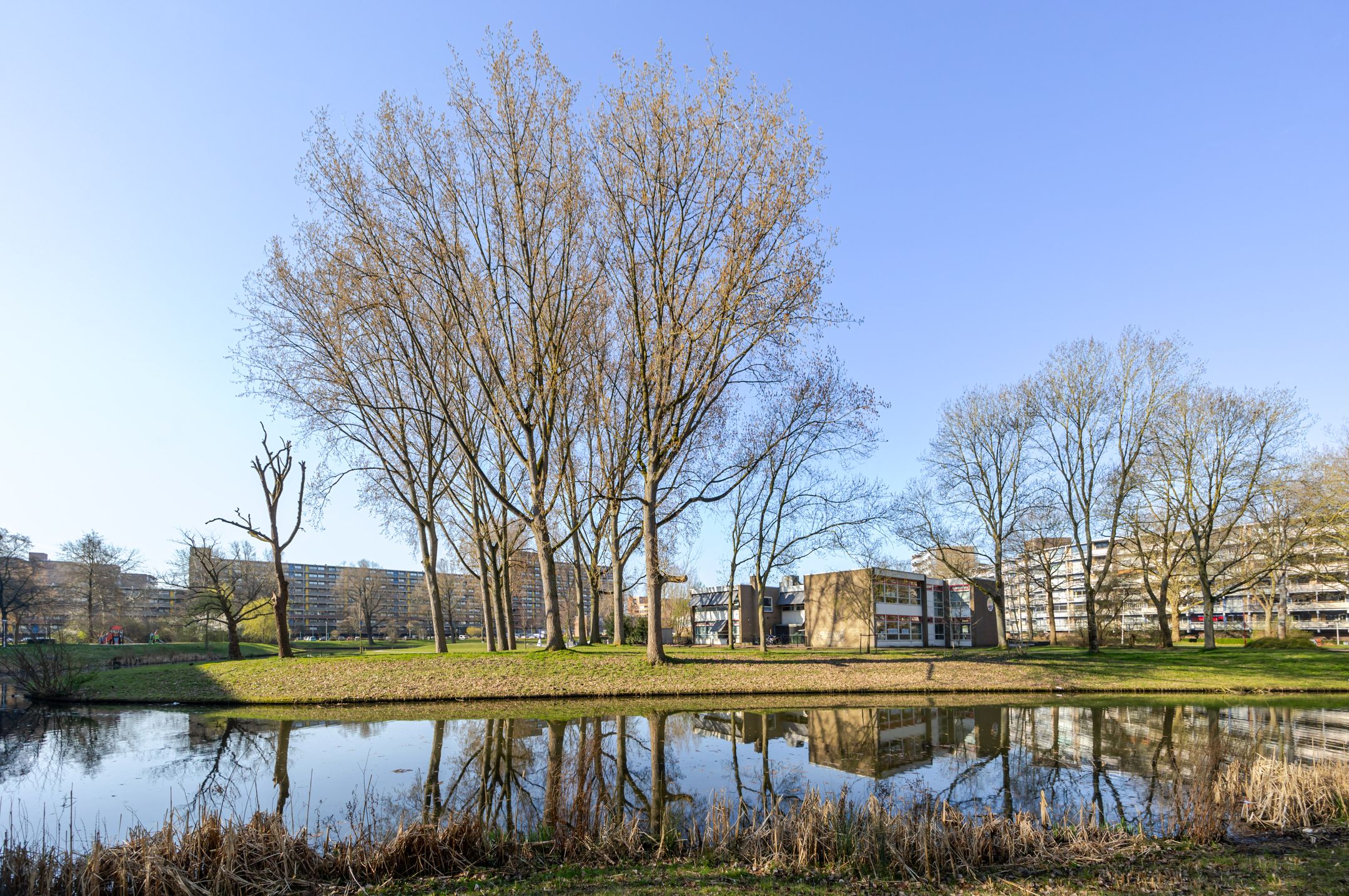 Foto 3 van Belvédèrebos 81