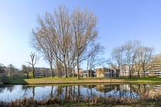 Afbeelding van Belvédèrebos 81 - Derde foto