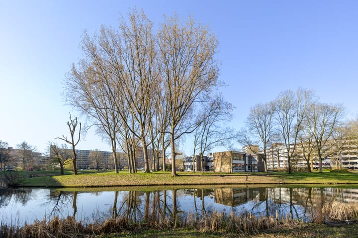 Photo 3 of Belvédèrebos 81