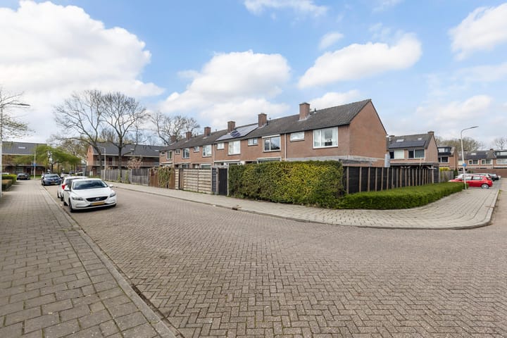 Foto 4 van Bovenkruier 16