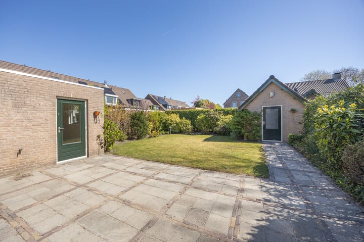 Foto 4 van Lijster 16