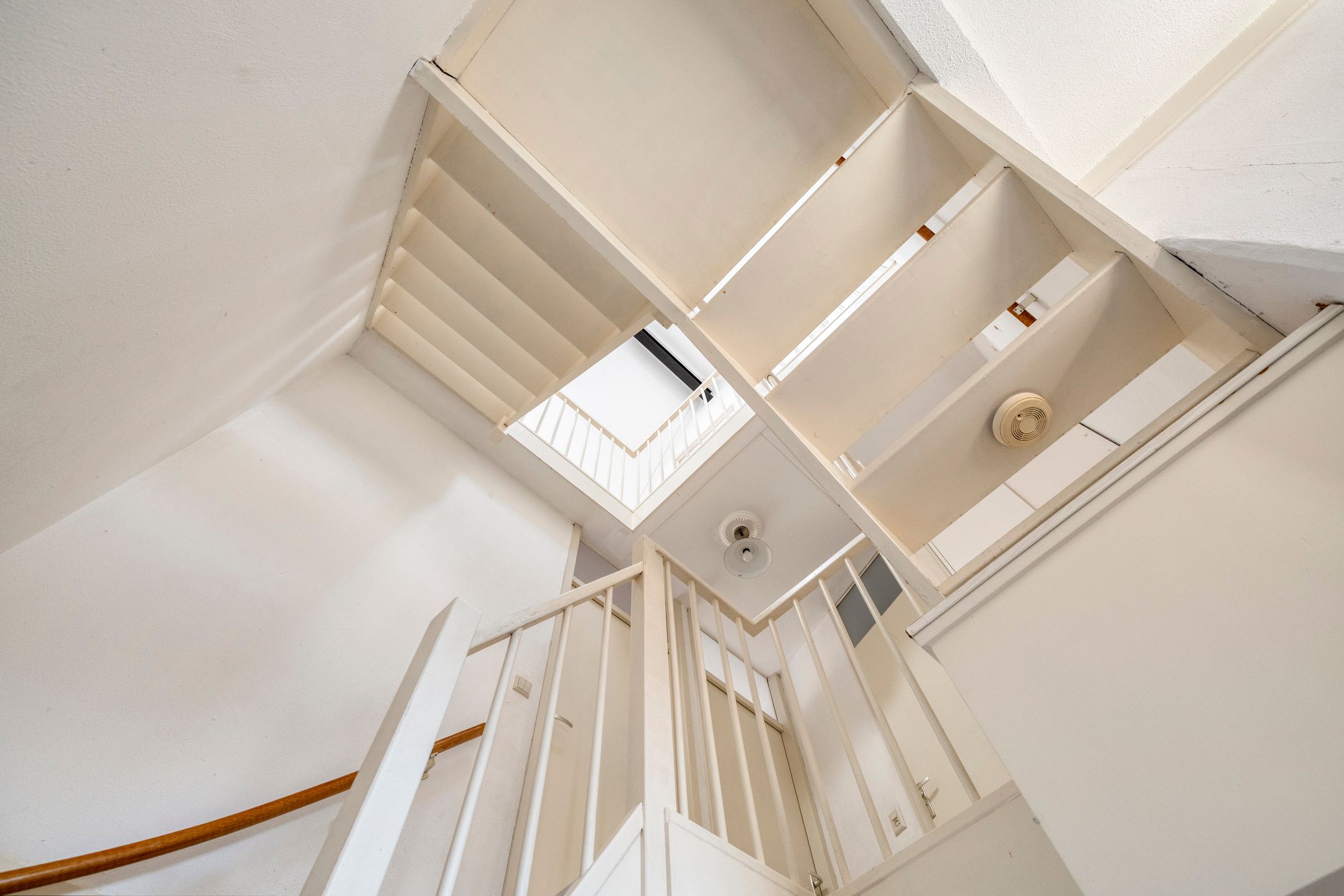 Foto 15 van Brigantijn 5