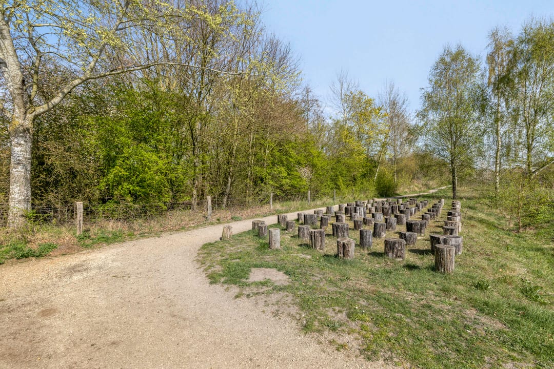 Foto 28 van Vroede Vrouwenlaan 25