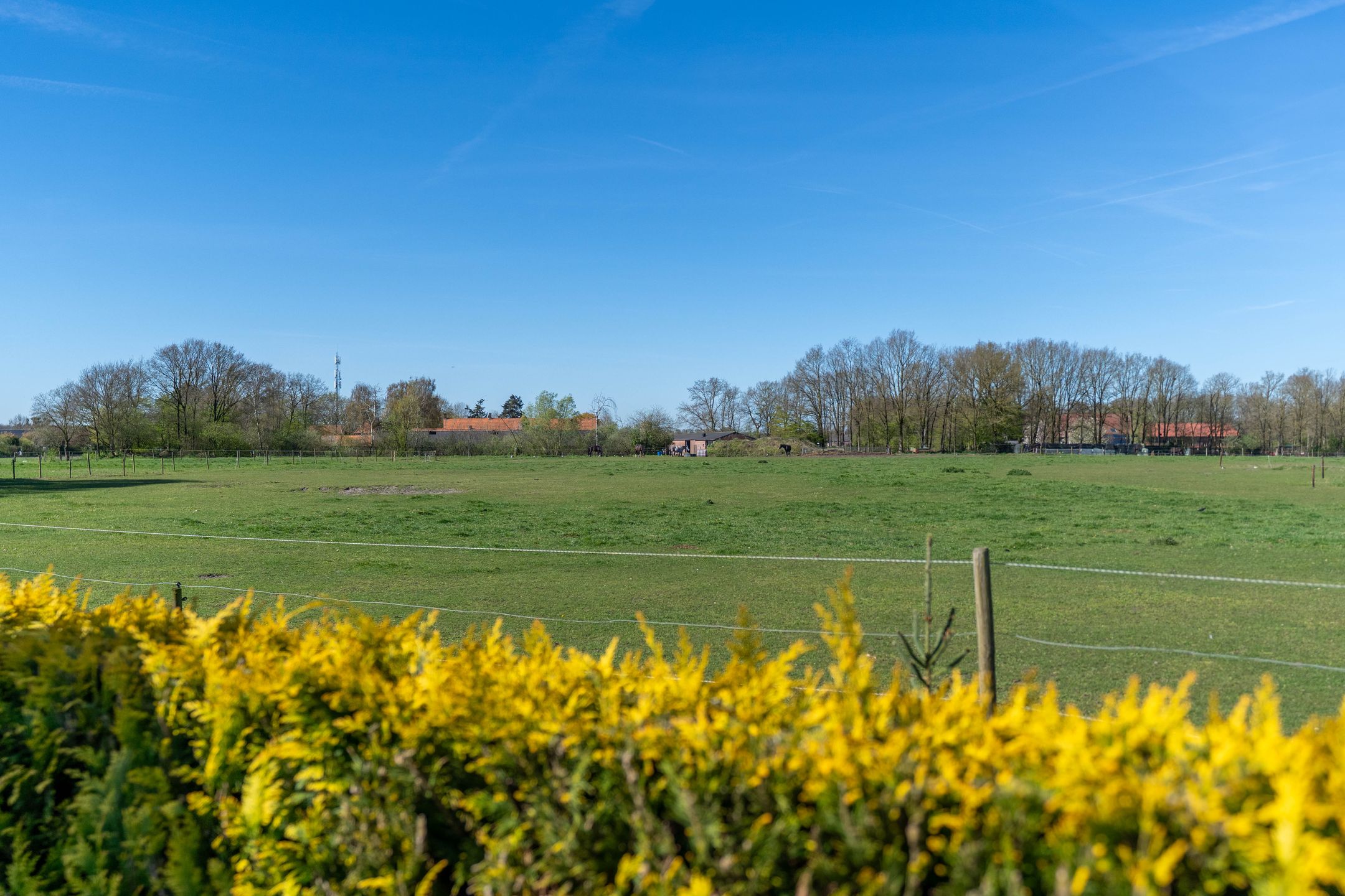 Foto 24 van d'n Hof 40