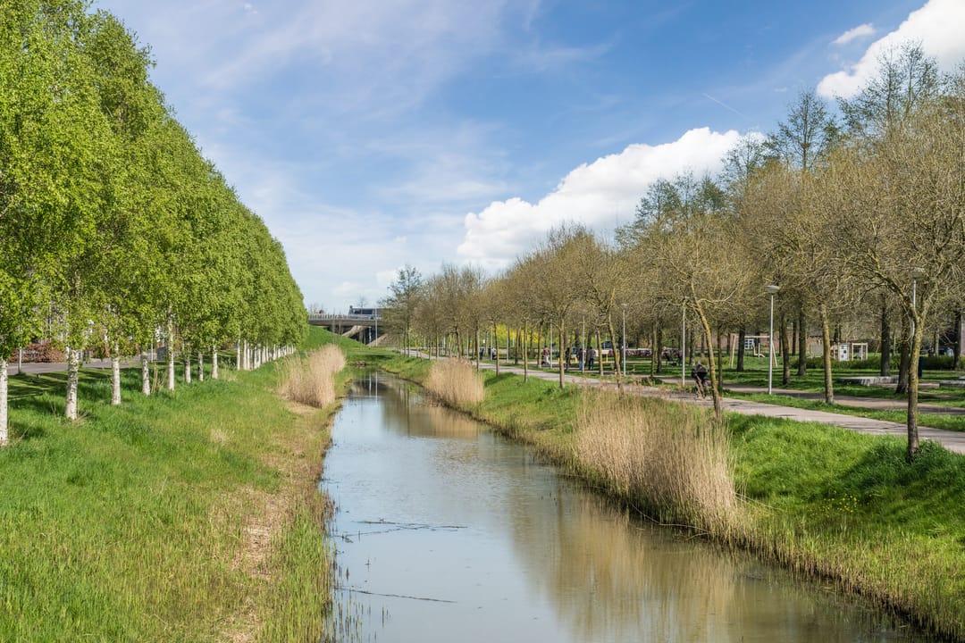 Photo 68 of Splinterenburg 10