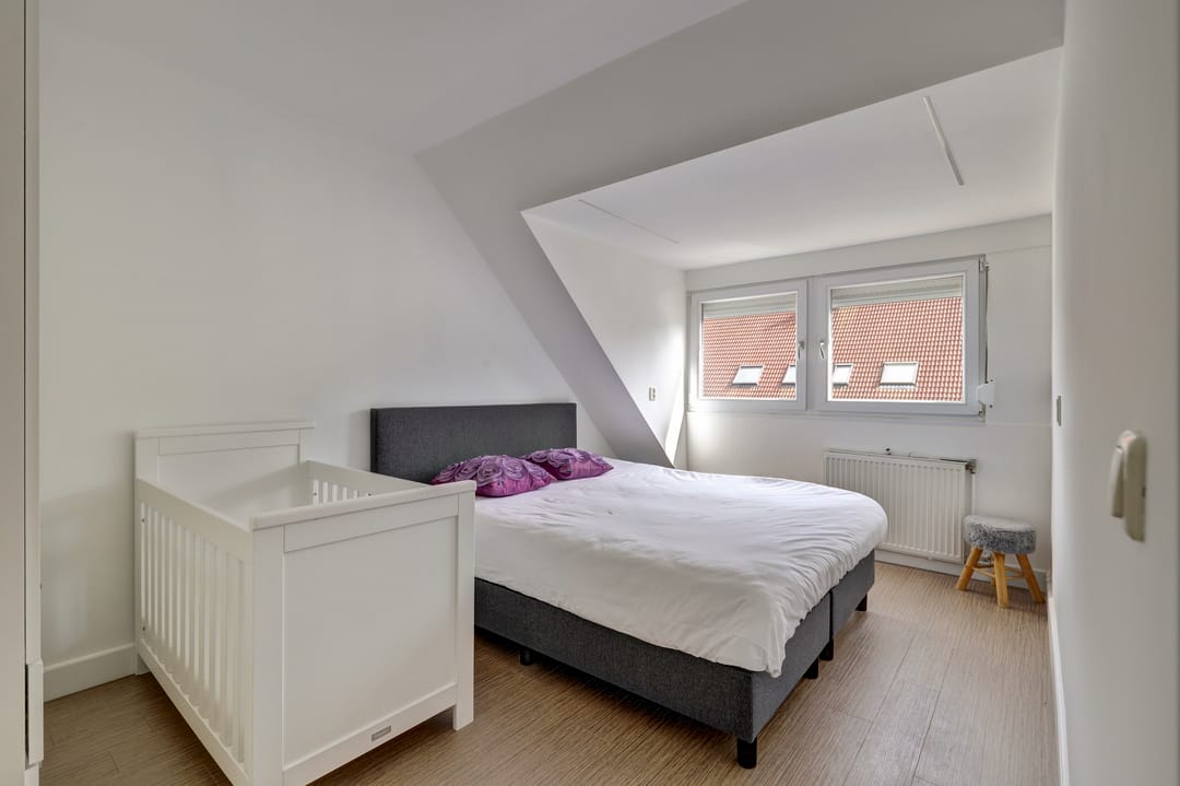 Foto 8 van Grondzeilerplantsoen 69