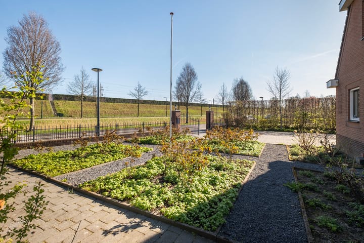 Foto 3 van Forint 38