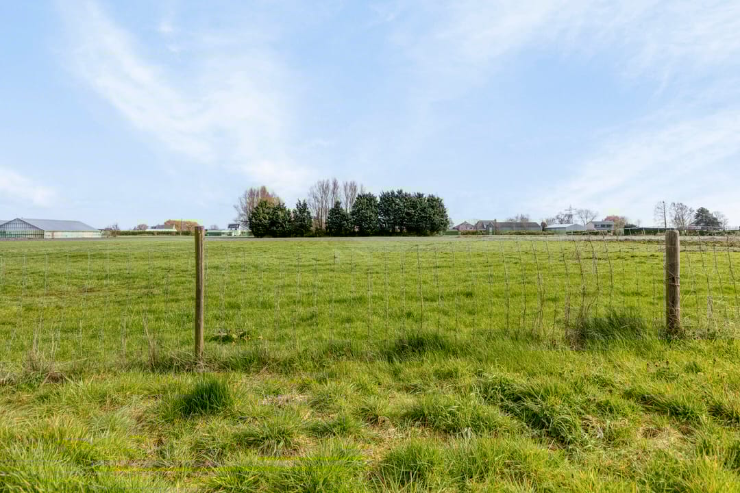 Foto 38 van Lisserdijk 394