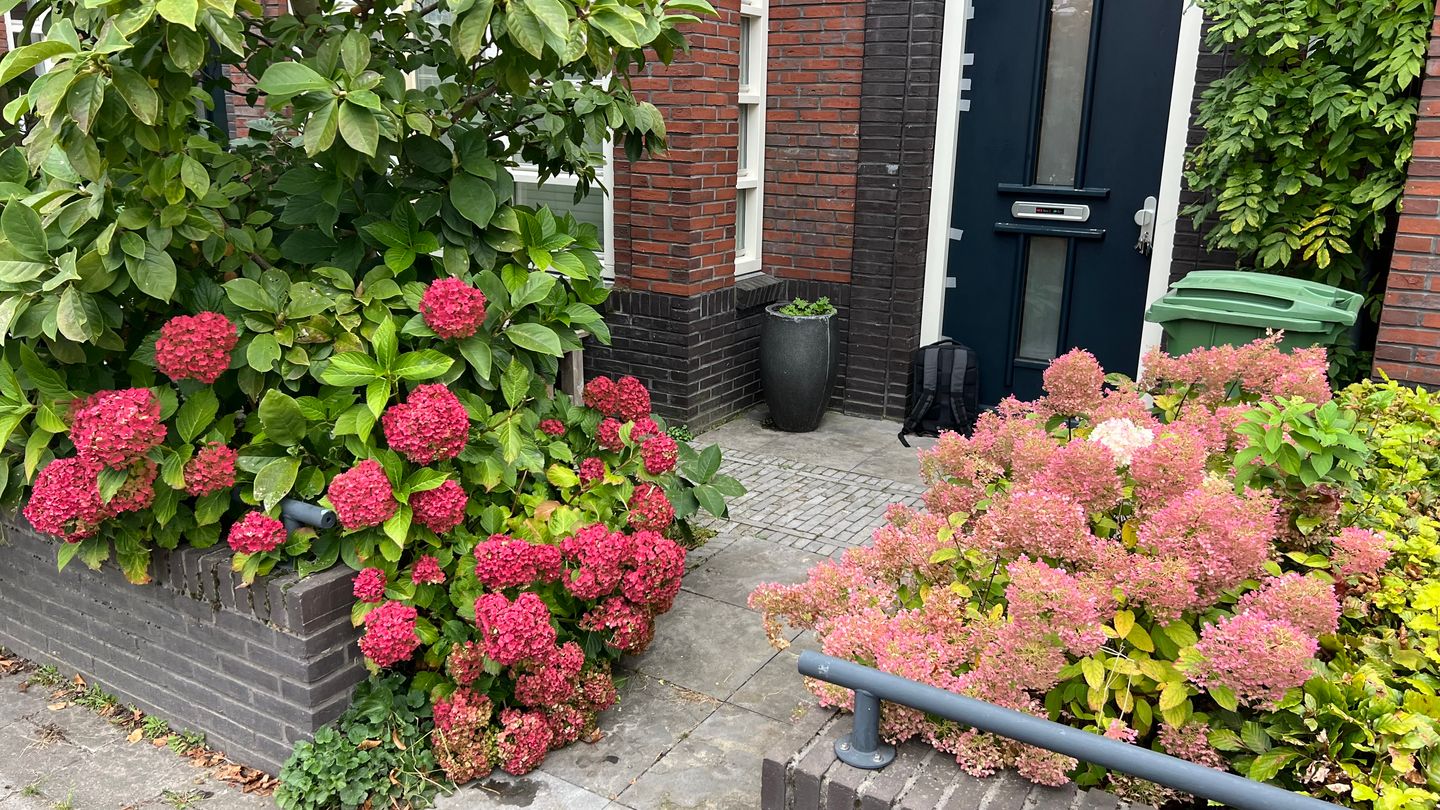 Photo 5 of Hendrik de Keyzerlaan 87