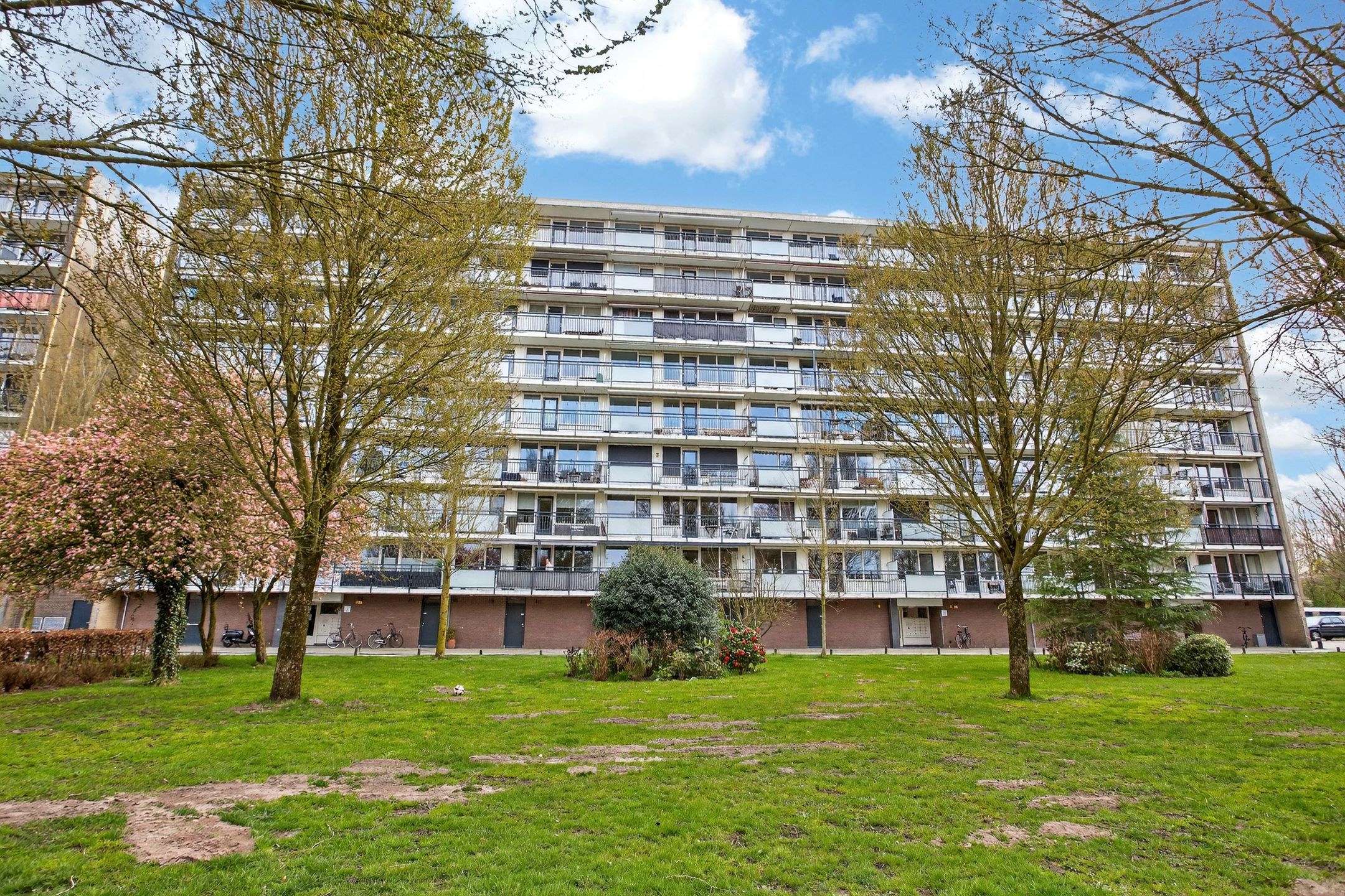 Foto 33 van Trekvogelweg 153