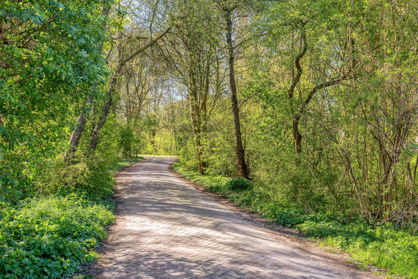 Foto 44 van Mahlerstraat 1