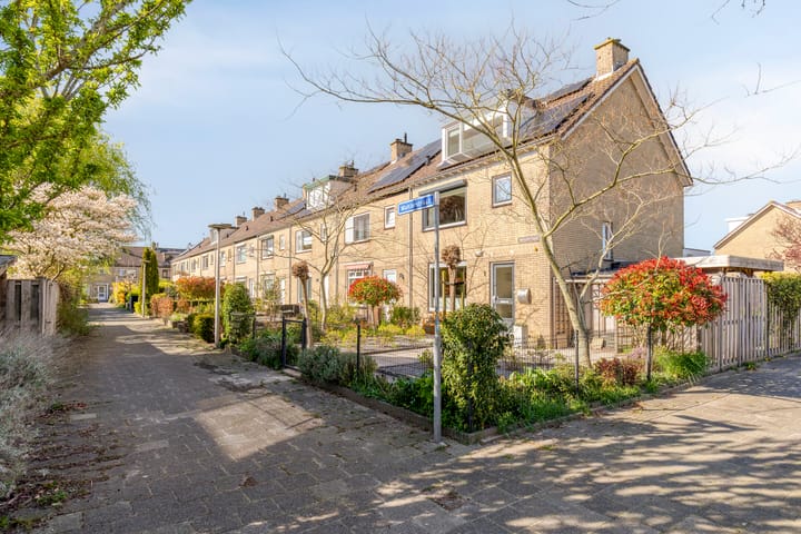 Foto 2 van Mahlerstraat 1