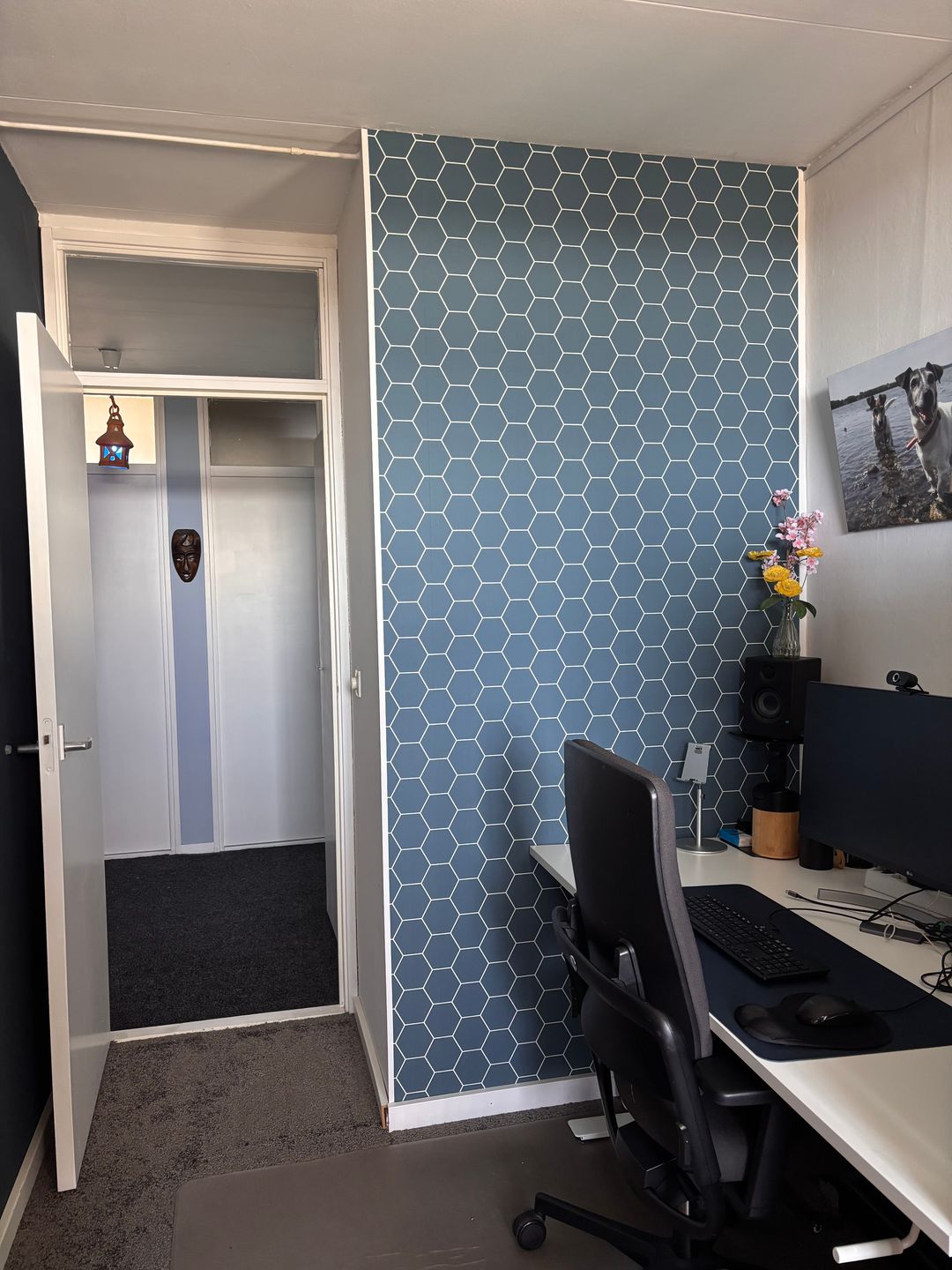 Foto 11 van Stadhoudersring 260