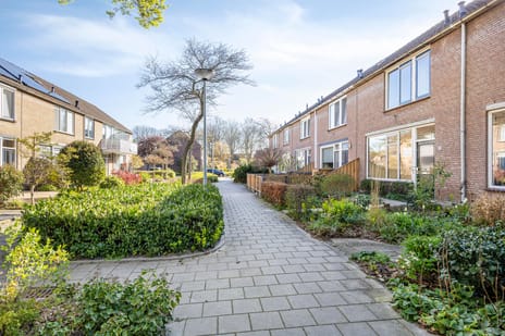 undefined main image