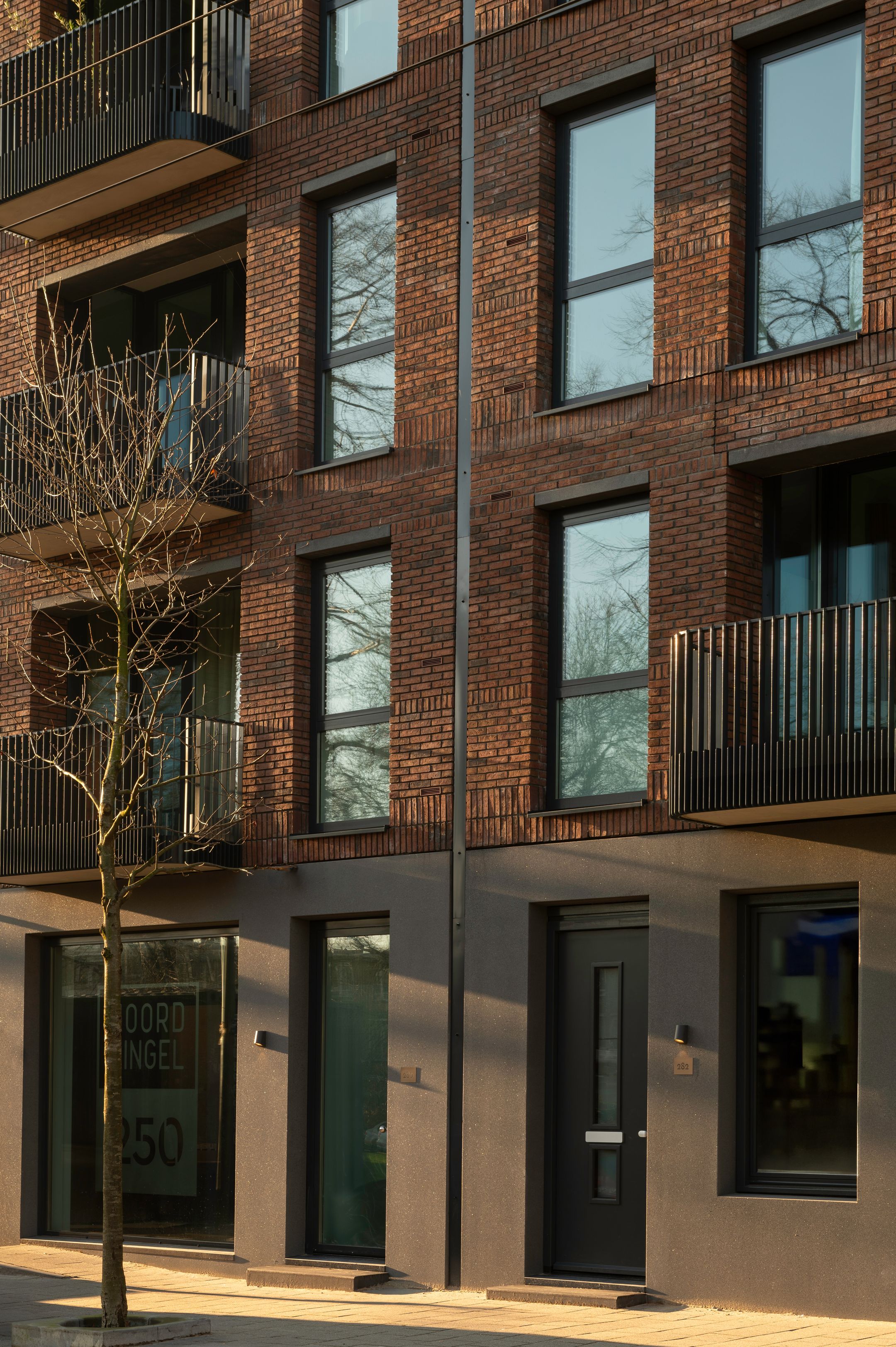 Foto 21 van Noordsingel 282