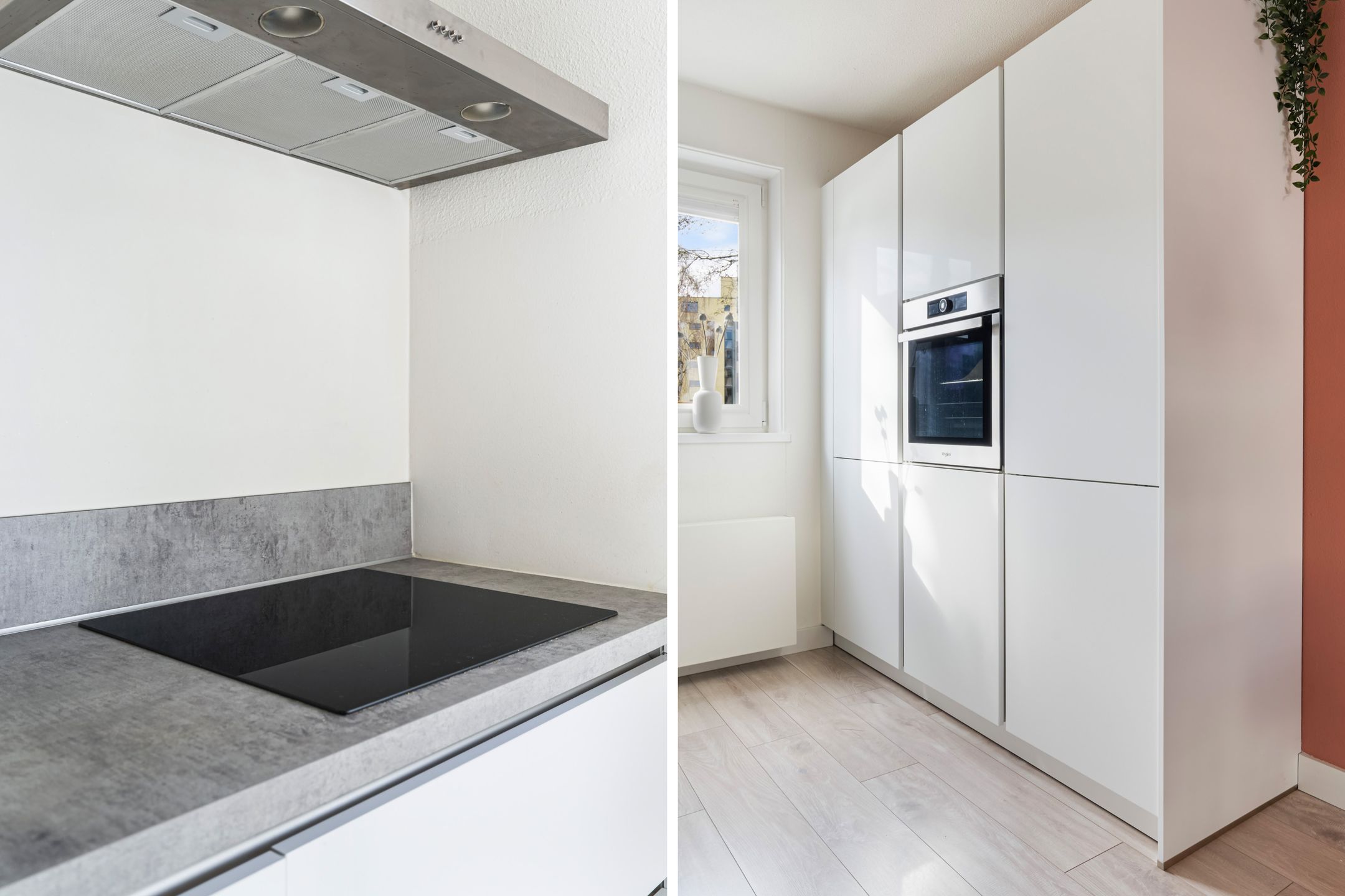 Foto 18 van Houtsingel 117