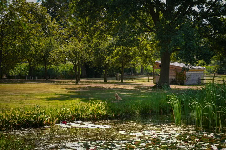 Foto 2 van Oetelaarsestraat 4