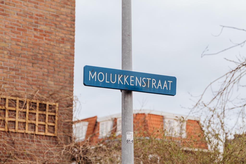 Photo 36 of Molukkenstraat 22