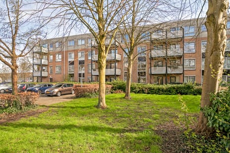 Clingendaellaan thumbnail