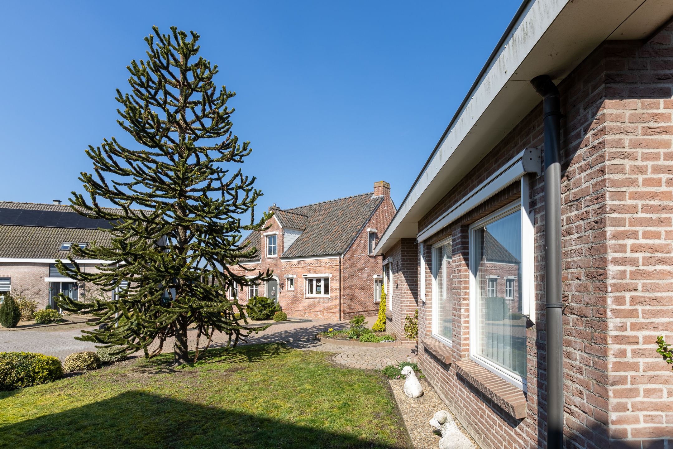 Foto 54 van Peeberg 44