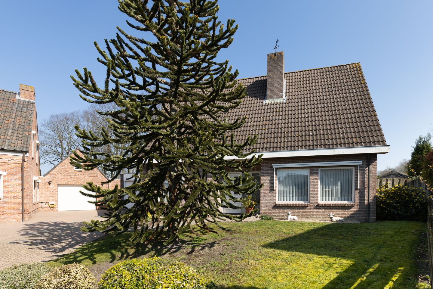 Foto 44 van Peeberg 44