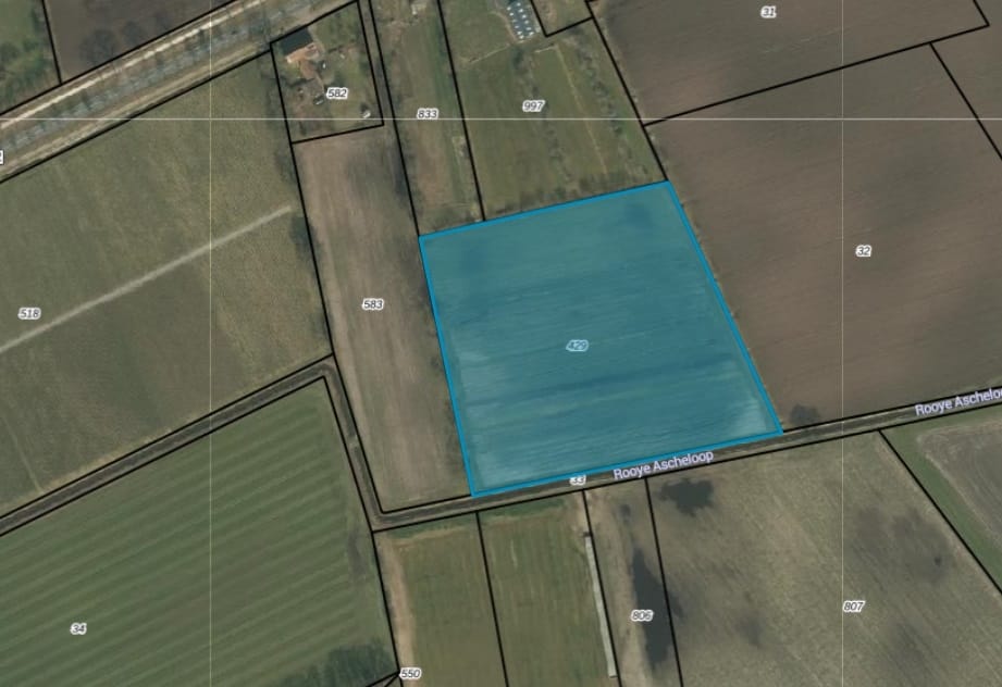 Bekijk foto 1 van Peeldijk