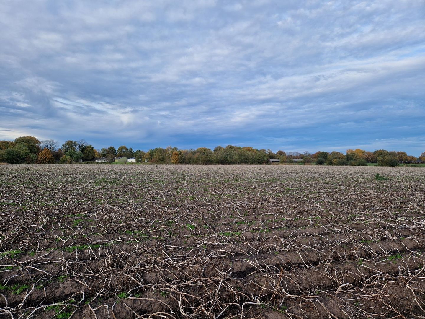 Bekijk foto 3 van Peeldijk
