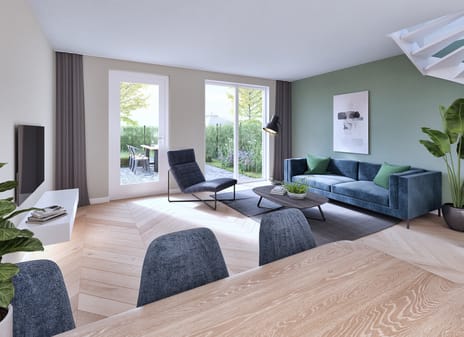 Dorpsweide type B | Túnstrjitte tertiary image