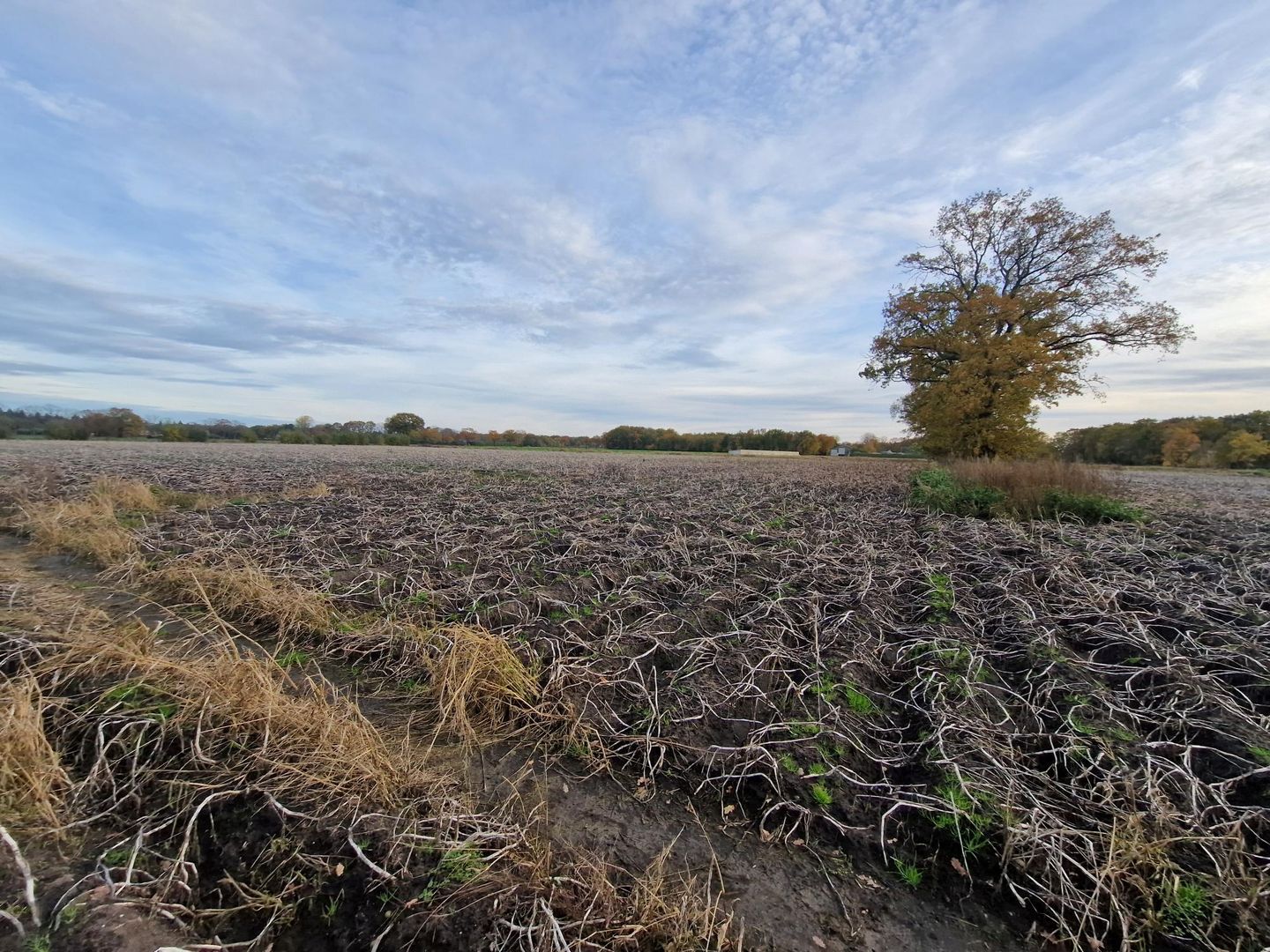 Bekijk foto 5 van Peeldijk