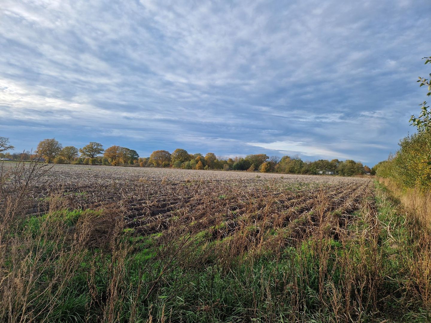 Bekijk foto 2 van Peeldijk