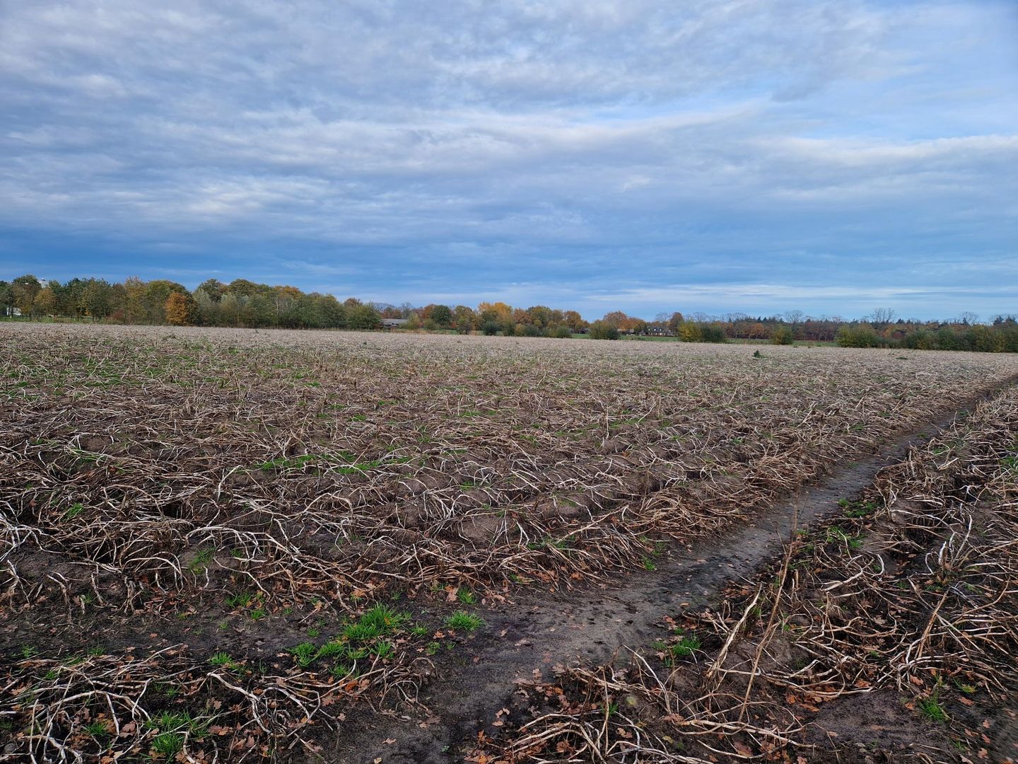 Bekijk foto 4 van Peeldijk