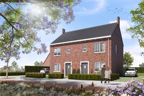 Dorpsweide type B | Túnstrjitte thumbnail