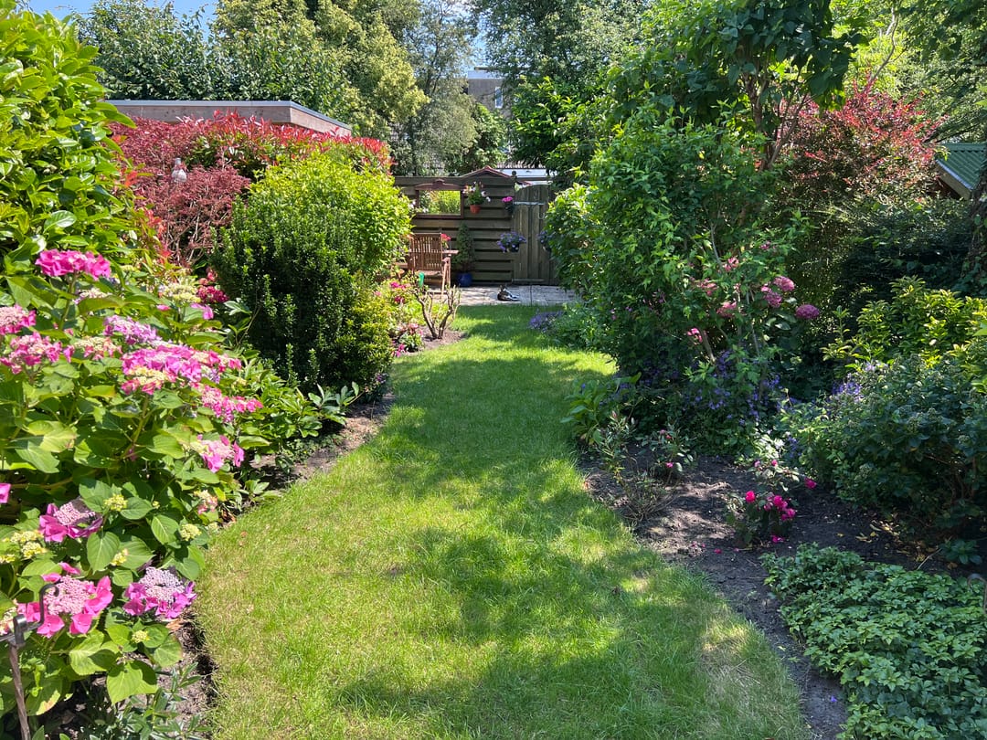 Foto 7 van Wallenbergstraat 85