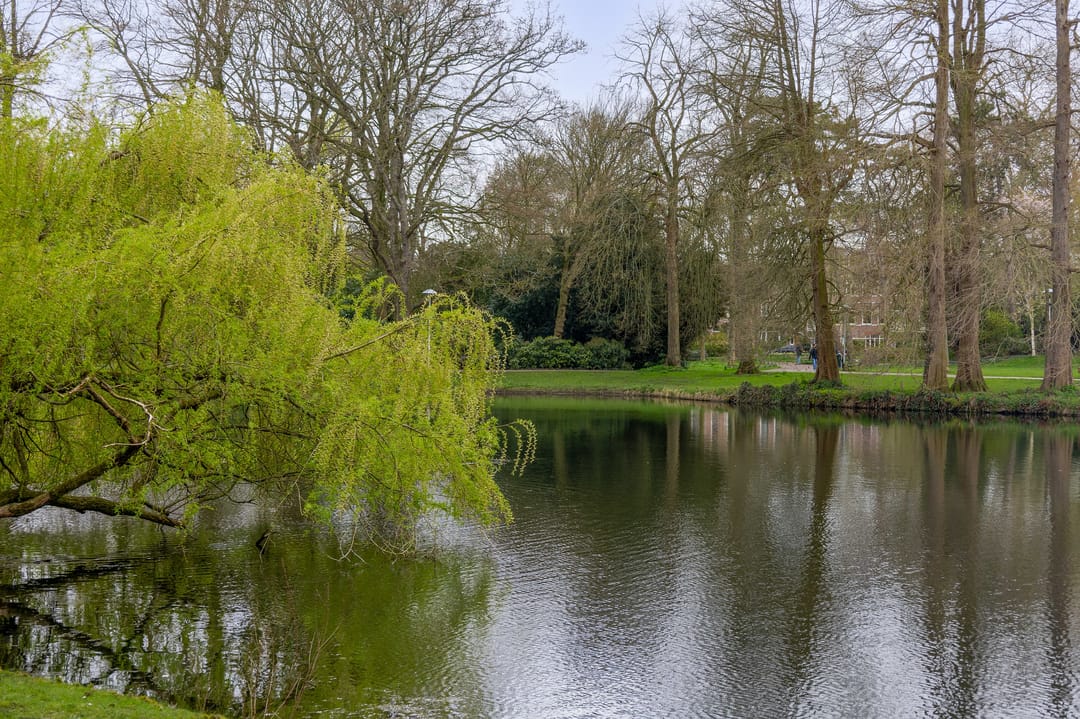 Foto 43 van Prins Hendriklaan 81